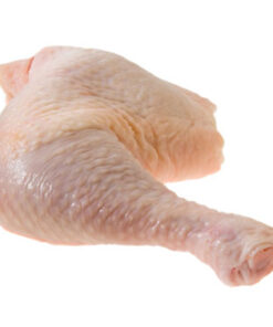 Chicken Big Leg